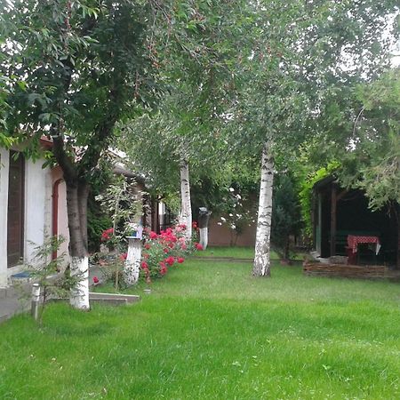 Camping Paradisul Soferilor Onesti Buitenkant foto