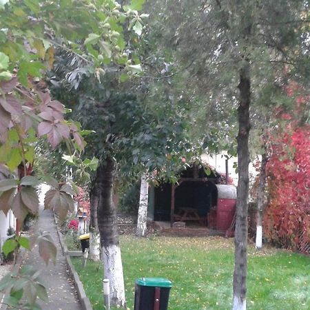 Camping Paradisul Soferilor Onesti Kamer foto