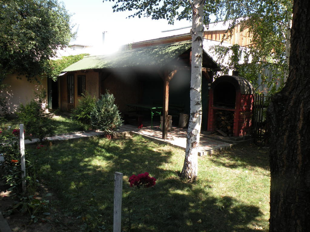 Camping Paradisul Soferilor Onesti Buitenkant foto