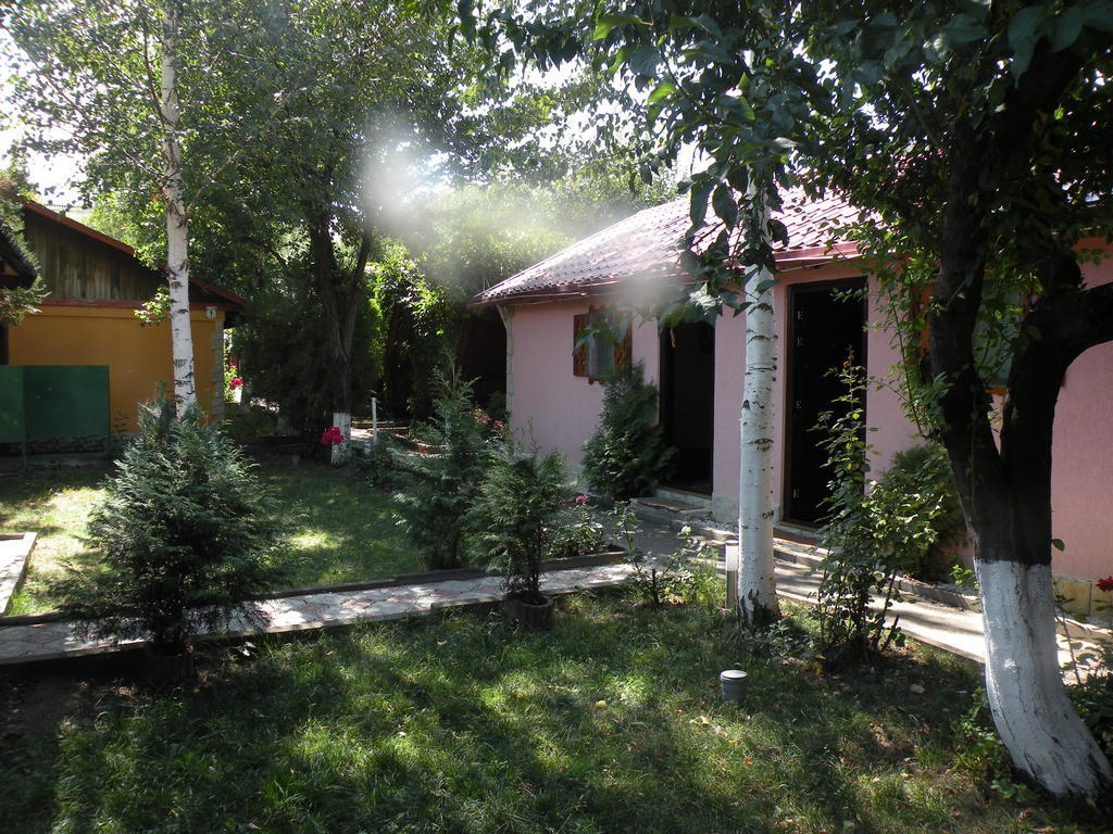 Camping Paradisul Soferilor Onesti Buitenkant foto