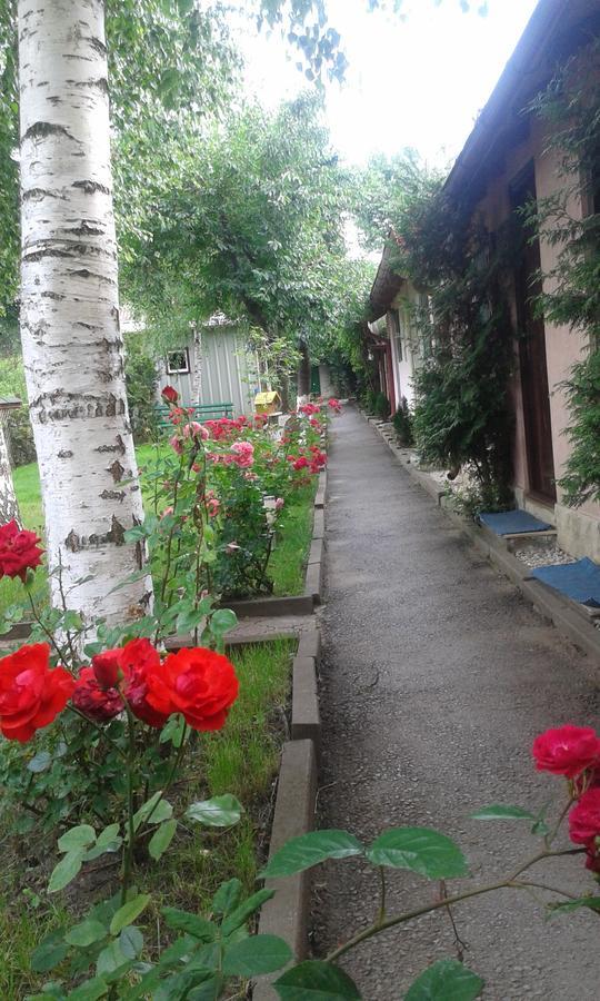 Camping Paradisul Soferilor Onesti Kamer foto