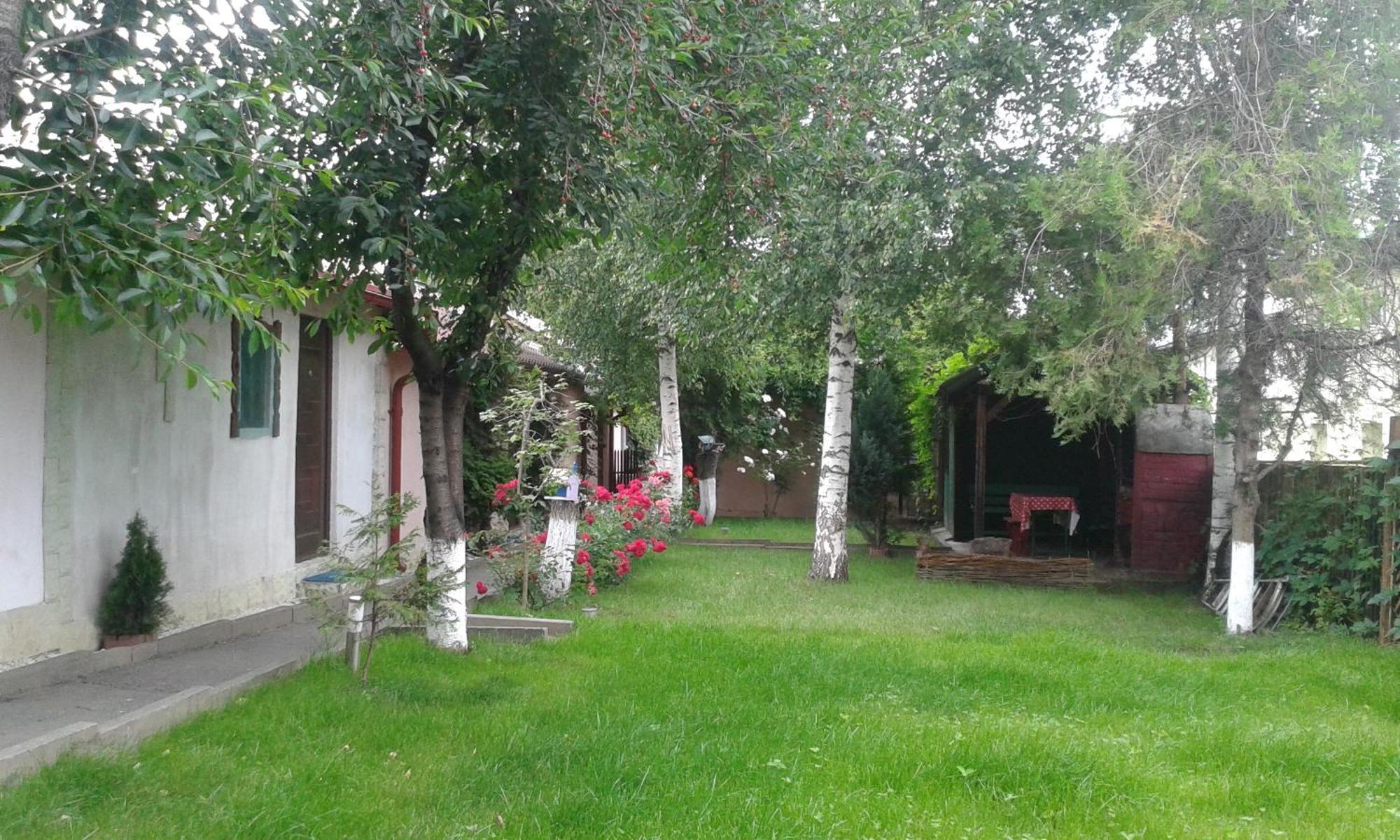 Camping Paradisul Soferilor Onesti Buitenkant foto