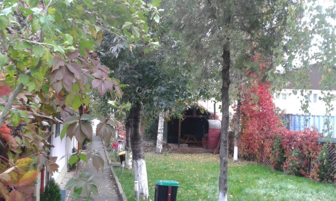 Camping Paradisul Soferilor Onesti Kamer foto